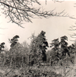 foto Mieke Vestdijk 23-1-1967 - Doorn